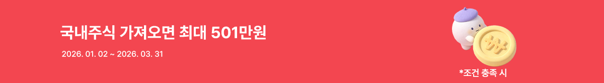 국내주식501만원